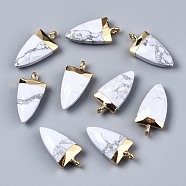 Natural Howlite Pendants, with Golden Iron Loop, Faceted, Triangle, 21x10x5.5mm, Hole: 1.8mm(G-S359-316A)