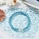 2Pcs 2 Color Tibetan Style Alloy Dolphin & Synthetic Turquoise Round Beaded Stretch Bracelets Set(BJEW-JB09895)-5