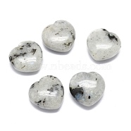 Natural Labradorite Heart Love Palm Worry Stone, Healing Crystal, 28.5~30x29~30x13~15mm(G-H268-F02-C)