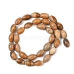 1 Strand Natural Picture Jasper Beads Strands, Rice, 12x8mm, Hole: 1.2mm, about 33pcs/strand, 15.94 inch(40.5cm)(G-YW0002-47)