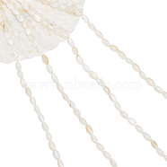 4 Strands Natural Freshwater Shell Beads Strands, Rice, 7.5x4mm, Hole: 0.8mm, about 51~52pcs/strand, 14.96 inch~15.16 inch(38~38.5cm)(SHEL-NB0001-53)