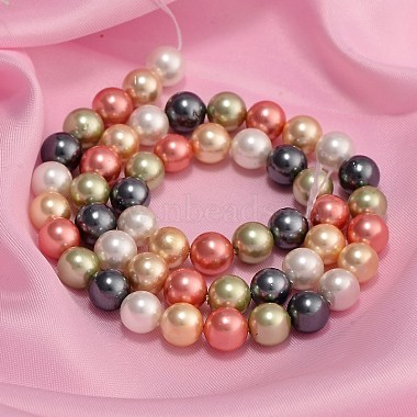 Chapelets de perles colorées en coquillage(X-BSHE-F013-14M-8mm)-2