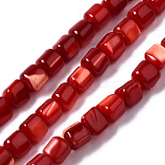 Natural Trochid Shell/Trochus Shell Bead Strands, Dyed, Column, FireBrick, 3.5x3.5mm, Hole: 1mm, about 111~117pcs/strand, 15.35 inch~15.94 inch(39~40.5cm)(SSHEL-N034-77-C02)