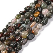 Natural Africa Bloodstone Beads Strands, Nuggets, Tumbled Stone, 7~12x6~8x5~7mm, Hole: 1mm, about 43~44pcs/strand, 15.47~15.63''(39.3~39.7cm)(G-G146-A22-01)