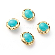 Shell Pearl Beads, with Golden Plated Brass Findings, Oval, Light Sea Green, 18~20x19~20x12~13mm, Hole: 0.8mm(X-PEAR-G008-11B)