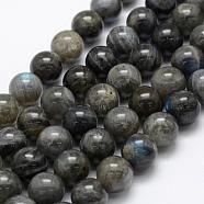 Natural Labradorite Beads Strands, Grade A+, Round, 12mm, Hole: 1mm, about 32pcs/strand, 15.3 inch(39cm)(G-P322-31-12mm)