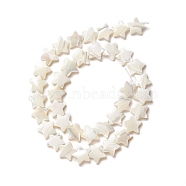 Natural Trochid Shell/Trochus Shell Beads, Star, Seashell Color, 12.5x11.5x3.5mm, Hole: 1mm, about 38pcs/strand, 15.63 inch(39.7cm)(SSHEL-O001-25D-01)