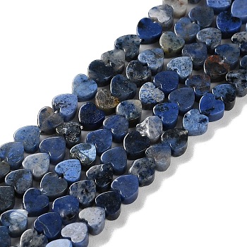 Natural Sodalite Beads Strands, Heart, 4x4x2mm, Hole: 1mm, about 87~91pcs/strand, 13.78''~14.17''(35~36cm)