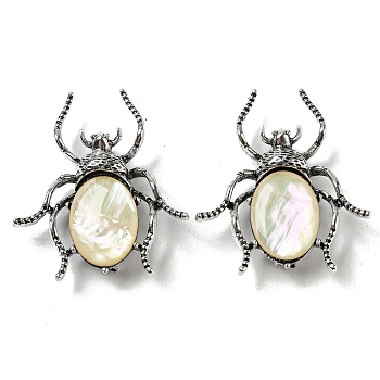 Dual-use Items Alloy Spider Brooch, with Natural Paua Shell, Antique Silver, PapayaWhip, 42x38x9.5mm, Hole: 4.5X4mm