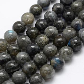 Natural Labradorite Beads Strands, Grade A+, Round, 12mm, Hole: 1mm, about 32pcs/strand, 15.3 inch(39cm)