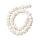 Natural Trochid Shell/Trochus Shell Beads(SSHEL-O001-25D-01)-1