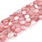 Natural White Shell Beads Strands, Dyed, Nuggets, Pink, 5~17x4~17x2~7mm, Hole: 0.6mm, about 41~54pcs/strand, 14.57~16.14 inch(37~41cm)(SHEL-N036-21G)