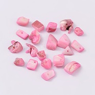 Natural Freshwater Shell Chips Beads, Shell Shards, Dyed, Misty Rose, 8~17x5~7x4~6mm, Hole: 1mm, about 640pcs/500g(BSHE-S007-12)
