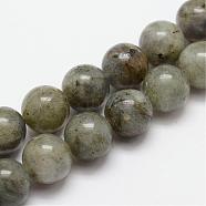 Natural Labradorite Bead Strands, Round, 4mm, Hole: 1mm, about 95pcs/strand, 15.4 inch(G-O155-05A-4mm)