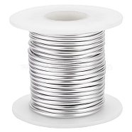 Custom Round Aluminum Wire, Platinum, 10 Gauge, 2.5mm, about 32.81 Feet(10m)/Roll(AW-WH0002-15B-P)