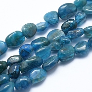 Natural Apatite Beads Strands, Grade A, Nuggets, 6~8mm, Hole: 0.8mm; about 45~47pcs/strand, 15.7 inches(40cm)(G-E483-41A)