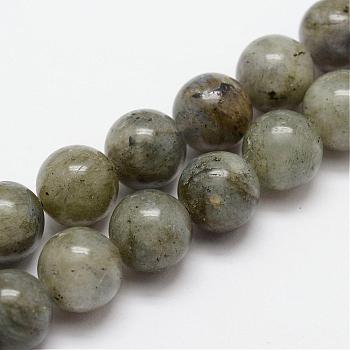 Natural Labradorite Bead Strands, Round, 4mm, Hole: 1mm, about 95pcs/strand, 15.4 inch