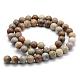 Natural Fossil Coral Beads Strands(G-G763-12-8mm)-2