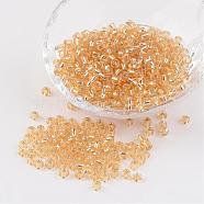 6/0 Round Silver Lined Round Hole Glass Seed Beads, Pale Goldenrod, 4mm, Hole: 1.5mm, about 496pcs/50g(X-SEED-A005-4mm-22)