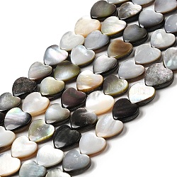 Natural Black Lip Shell Beads Strands, Heart, 9.5x10x3mm, Hole: 0.8mm, about 42~44pcs/strand, 14.76''~15.16''(37.5~38.5cm)(SHEL-K006-17)