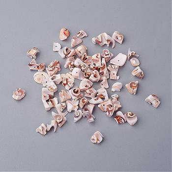 Natural Spiral Shell Beads, Dyed, PeachPuff, Size: about 6~9mm long, 10~16mm wide, 6~9mm thick, hole: 2mm, about 630pcs/500g