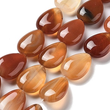 Natural Red Agate Beads Strands, Flat Teardrop, 17.5~18x13~13.5x6mm, Hole: 1.2~1.4mm, about 11pcs/strand, 7.56''(19.2cm)