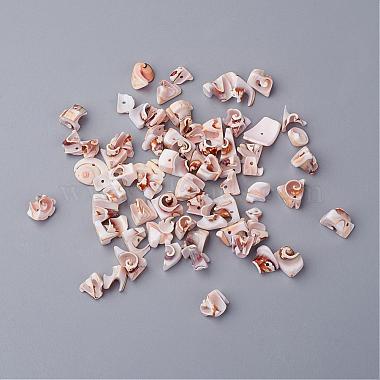 10mm PeachPuff Others Spiral Shell Beads