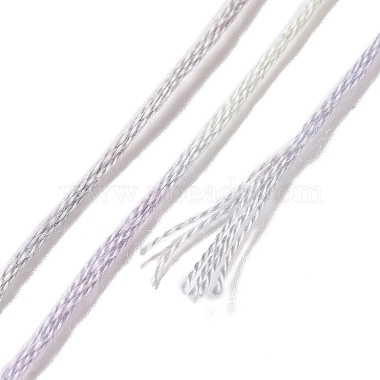 10 Skeins 6-Ply Polyester Embroidery Floss(OCOR-K006-A16)-3