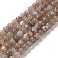 Natural Grey Moonstone Beads Strands, Round, 6mm, Hole: 0.6mm, about 65~67pcs/strand, 15.7 inch(40cm)(G-F632-24-02-01)