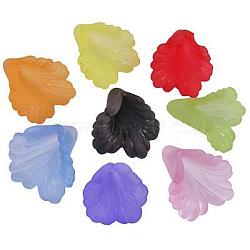 Transparent Acrylic Flower Beads, Frosted, Dyed, Mixed Color, about 12mm wide, 12mm long, 1.8mm thick, hole: 1.5mm(X-PL622M)