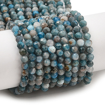 Natural Apatite Beads Strands, Faceted, Round, 3mm, Hole: 0.5mm, about 125pcs/strand, 15.50 inch(39.36cm)