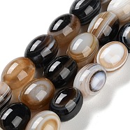 Natural Eye Agate Beads Strands, Striped Agate/Banded Agate Beads, Dyed & Heated, Rice, 14.5~15x12mm, Hole: 1.6mm, about 27pcs/strand, 15.98''(40.6cm)(G-NH0019-C04-08)