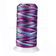 Segment Dyed Round Polyester Sewing Thread, for Hand & Machine Sewing, Tassel Embroidery, Purple, 12-Ply, 0.8mm, about 300m/roll(OCOR-Z001-B-19)