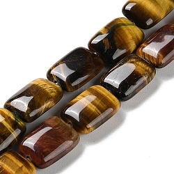 Natural Tiger Eye Beads Strands, Rectangle, 14~15x10~11x5~5.5mm, Hole: 1~1.2mm, about 28pcs/strand, 16.02 inch(40.7cm)(G-K357-D19-01)
