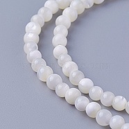Shell Beads Strands, Round, 3.7~4.5mm, Hole: 0.8mm, about 103pcs/strand, 15.86 inch(40.3cm)(SSHEL-E571-39-4mm)