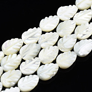 Natural Trochid Shell/Trochus Shell Beads Strands, Bleach, Leaf, White, 11.5~12x8x3~3.5mm, Hole: 0.8mm, about 34~35pcs/strand, 15.55 inch(39.5~40.6cm)(SSHEL-N034-135B-01)