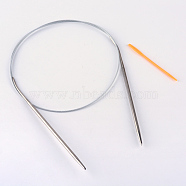 Steel Wire Stainless Steel Circular Knitting Needles and Random Color Plastic Tapestry Needles, More Size Available, Stainless Steel Color, 650x3.5mm, 52x1mm, 2pcs/bag(TOOL-R042-650x3.5mm)