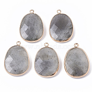 Natural Labradorite Pendants, with Golden Plated Edge Brass Findings, Nickel Free, Faceted, Oval, 25~26x17~18x5mm, Hole: 1.4mm(G-T131-08D)