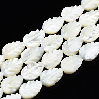 Natural Trochid Shell/Trochus Shell Beads Strands, Bleach, Leaf, White, 11.5~12x8x3~3.5mm, Hole: 0.8mm, about 34~35pcs/strand, 15.55 inch(39.5~40.6cm)
