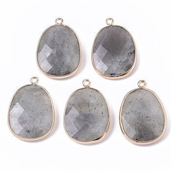Natural Labradorite Pendants, with Golden Plated Edge Brass Findings, Nickel Free, Faceted, Oval, 25~26x17~18x5mm, Hole: 1.4mm