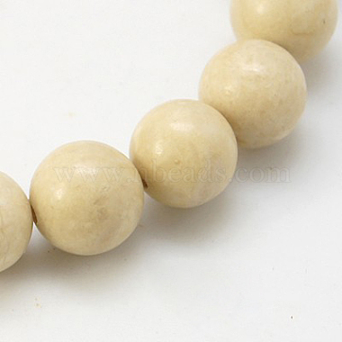 12mm White Round Fossil Beads