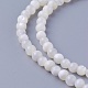 Shell Beads Strands(SSHEL-E571-39-4mm)-1