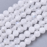 Natural Rainbow Moonstone Beads Strands, Round, Faceted, 2mm, Hole: 0.5mm, about 150pcs/strand, 15.55 inch(39.5cm)(G-R462-032A)