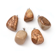 Natural Picture Jasper Pendants, with Platinum Tone Brass Findings, Nuggets, 23~30x13~22x12~20mm, Hole: 5x3mm(G-k302-B18)