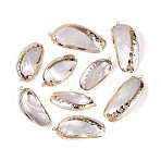 Electroplate Natural Sea Shell Big Pendants, Shell Shape Charms, with Brass Loops, Golden, Seashell Color, 43.5~58x20~26x7~10mm, Hole: 1.8~2mm(SSHEL-T018-18)