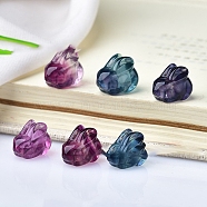 Natural Fluorite Home Display Decorations, 3D Rabbit, 16x12mm(DJEW-PW0006-05)