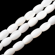 Natural Freshwater Shell Beads Strands, Barrel, White, 5.5~6x3.5~4.5mm, Hole: 0.5mm, about 65pcs/strand, 15.04''~15.16''(38.2~38.5cm)(SHEL-K006-06)