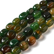 Natural Agate Beads Strands, Dyed & Heated, Cube, Sea Green, 11~12x8~9.5x8~9.5mm, Hole: 1.2mm, about 16pcs/strand, 7.48~7.72''(19~19.6cm)(G-H295-A01-10)