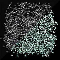 11/0 Luminous Glass Seed Beads, Inside Colours, Glow in the Dark Round Beads, White, 2mm, Hole: 1mm, about 660Pcs/bag(LUMI-PW0001-186A-01)