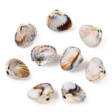 Tan Shell Acrylic Beads